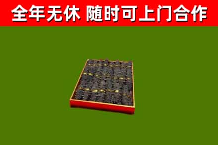 库伦回收海参